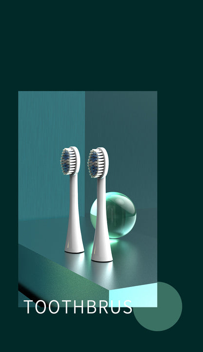 Ultrasons Sonic Électrique Brosse À Dents USB Rechargeable Brosse à Dents